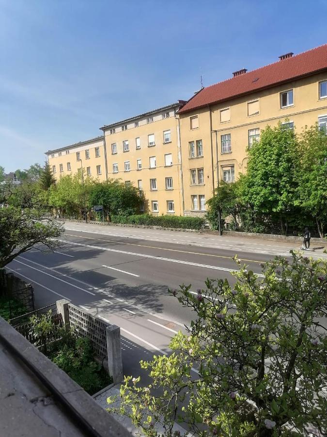 Pirc Apartment On Dunajska Street Λιουμπλιάνα Εξωτερικό φωτογραφία