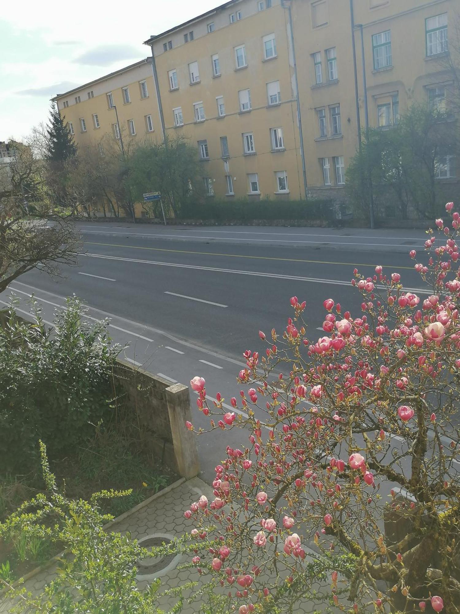 Pirc Apartment On Dunajska Street Λιουμπλιάνα Εξωτερικό φωτογραφία